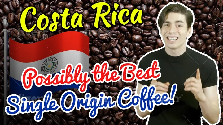 Costa Rican Coffee: Why It Might Be the Best Single Origin You'll Ever Try