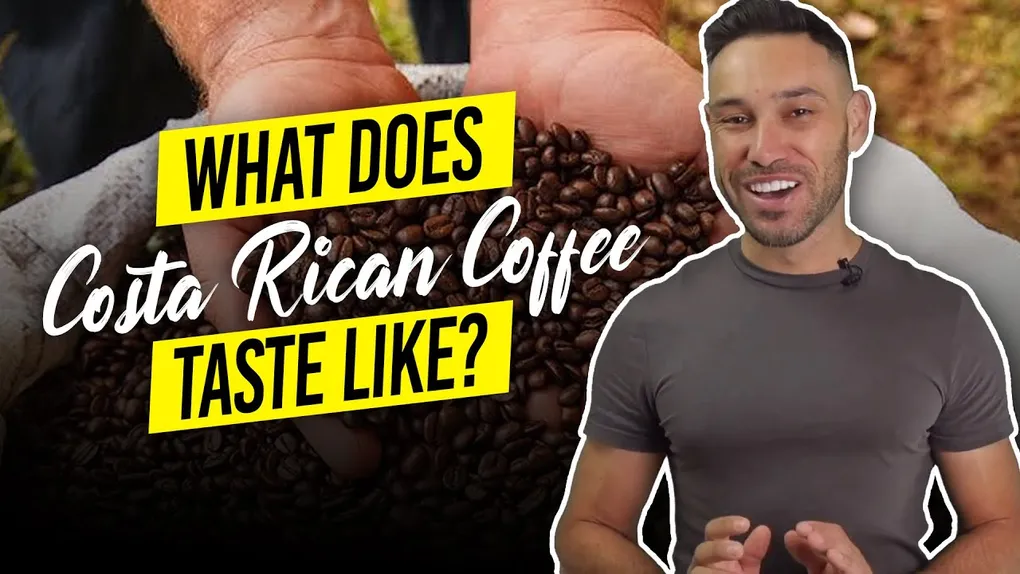 What Does Costa Rican Coffee Taste Like? Flavors, Roasts, and What to Expect