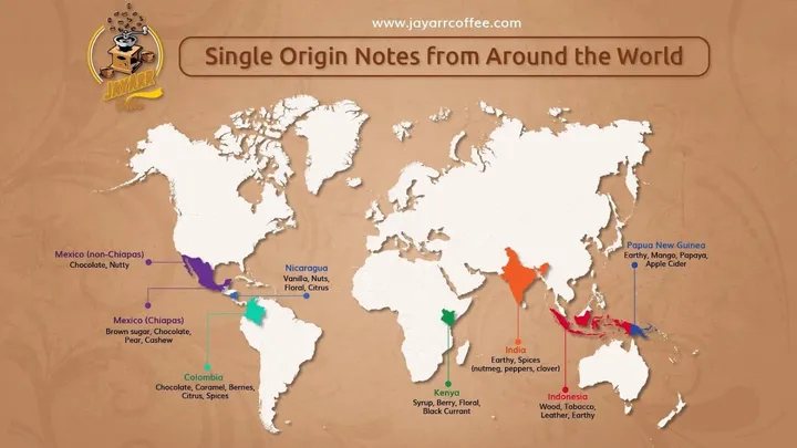 What's Special About Single Origin Coffee? A Complete Guide