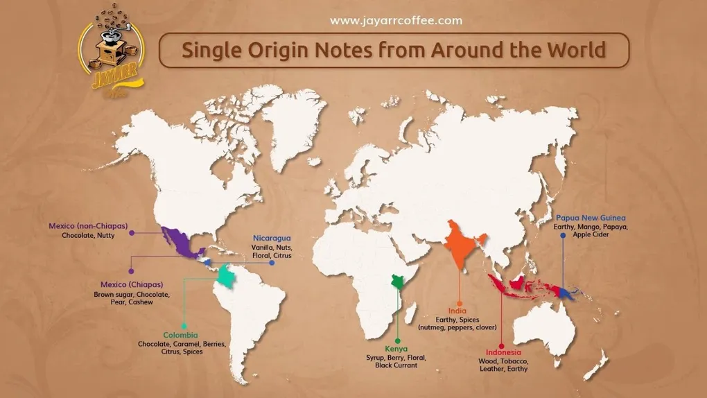 What's Special About Single Origin Coffee? A Complete Guide