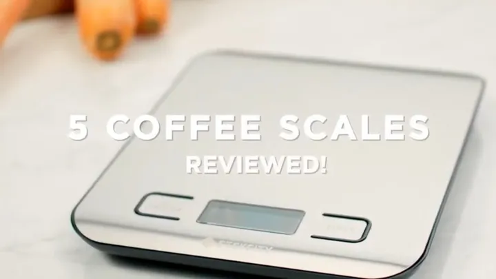 5 Best Coffee Scales Reviewed: Which One Is Worth Your Money?