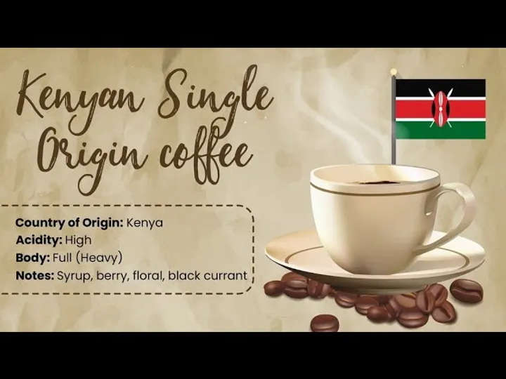 What Does Kenyan Coffee Taste Like? A Quick Flavor Guide