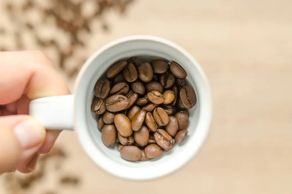 How to Pick Your Ideal Coffee Using the SCA Flavor Wheel