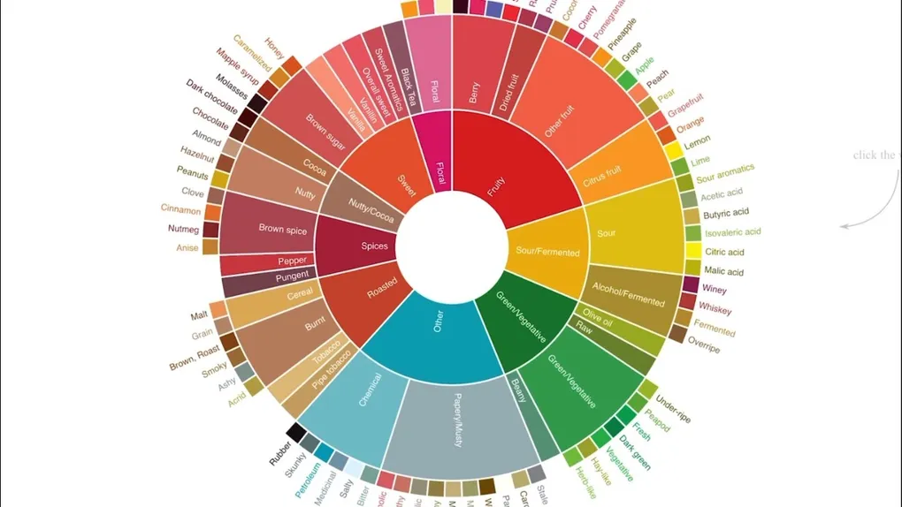 How to Pick Your Ideal Coffee Using the SCA Flavor Wheel