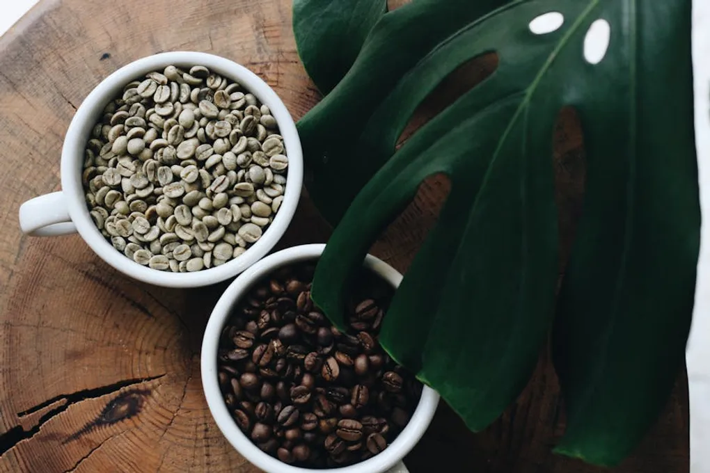 Arabica vs Robusta: Everything You Need to Know