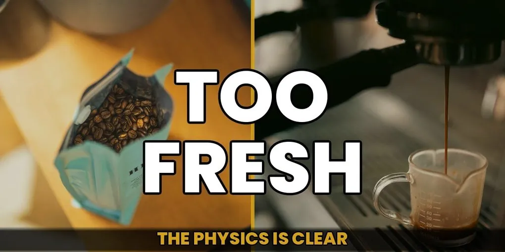 The Fresh Bean Trap: Why 'Too Fresh' Ruins Espresso