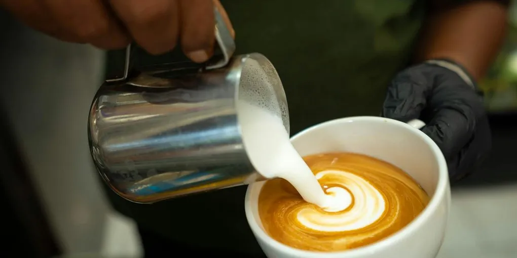 Best Milk Frothers for Home Baristas (2026): 9 Tested by Category