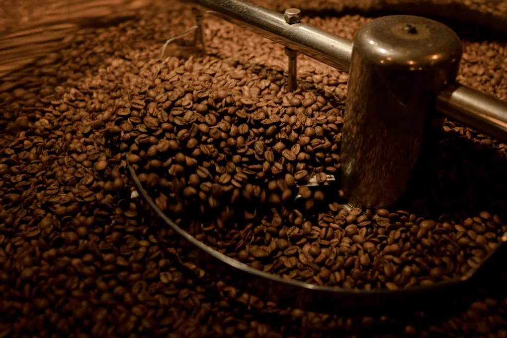 Coffee Freshness Timeline: When Beans Peak and When They Go Stale