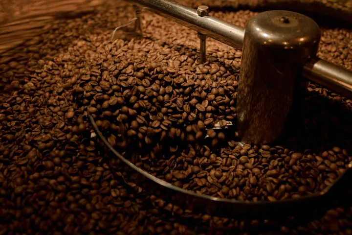 Coffee Freshness Timeline: When Beans Peak and When They Go Stale