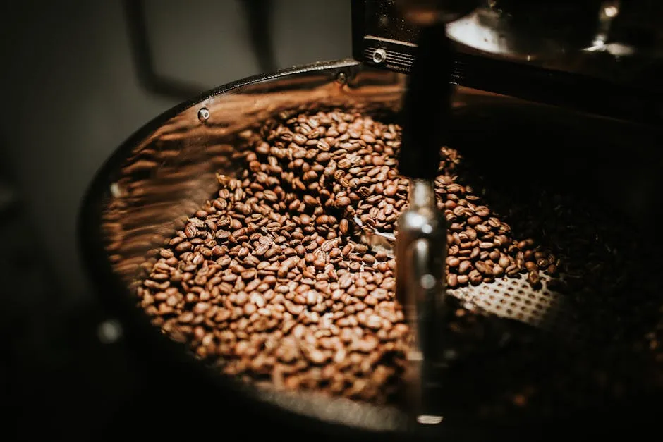 Coffee Roast Levels Explained: Light vs Medium vs Dark (With the Chemistry)