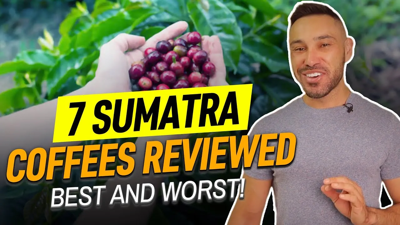 7 Sumatra Coffees Reviewed and Ranked: Best and Worst Picks
