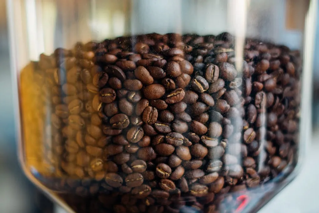How to Store Coffee Beans: What Actually Works (and What Destroys Them)