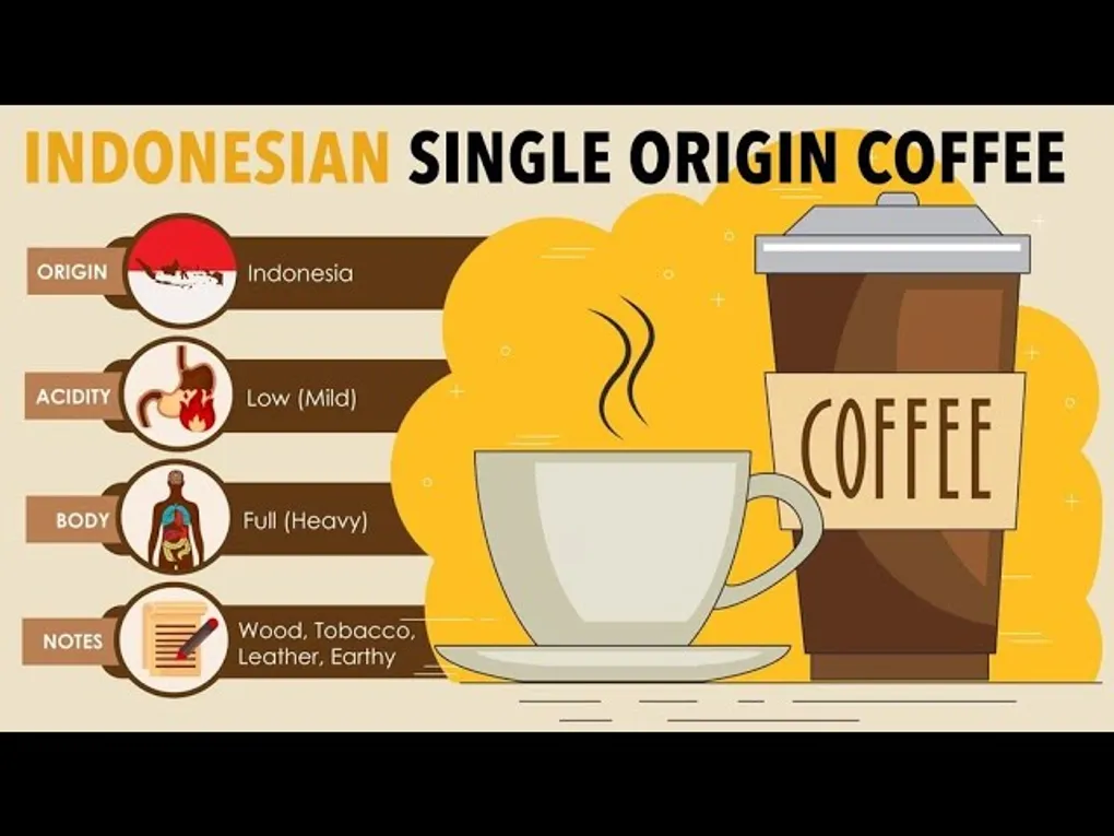 What Does Indonesian Coffee Taste Like? A Flavor Profile Guide