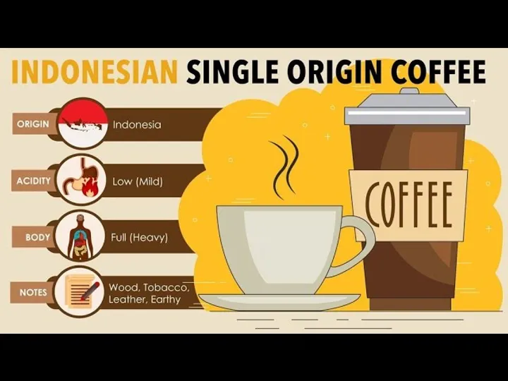 What Does Indonesian Coffee Taste Like? A Flavor Profile Guide
