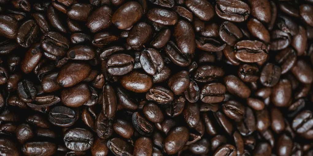 The Ugly Truth About Kopi Luwak: Cruel, Fake, and Not Even Good