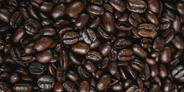 The Ugly Truth About Kopi Luwak: Cruel, Fake, and Not Even Good