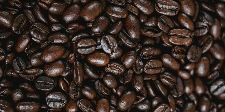 The Ugly Truth About Kopi Luwak: Cruel, Fake, and Not Even Good