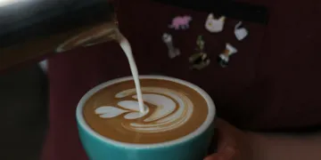 Latte Art for Beginners: How to Pour Your First Heart