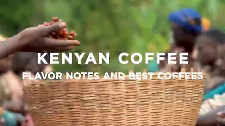 Kenyan Coffee: Flavor Profile, Growing Regions, and Best Beans to Buy