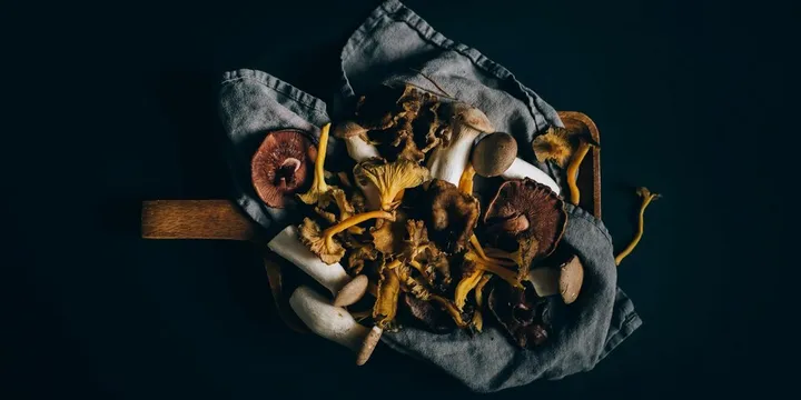 Mushroom Coffee Review: What the Science Actually Shows