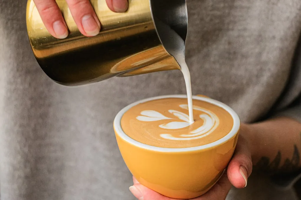 Oat Milk vs Dairy in Coffee: Science-Based Guide