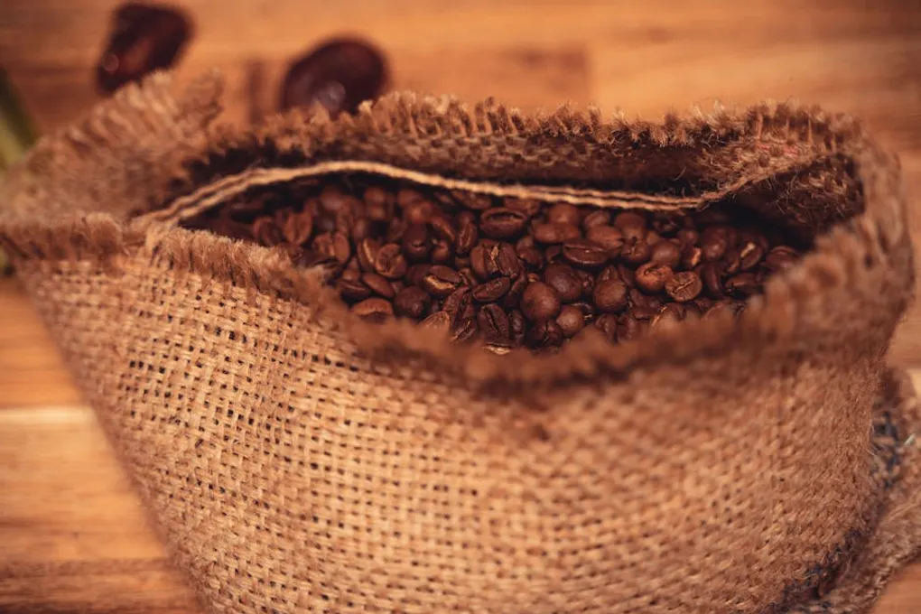 Panama Coffee Guide: Geisha, Boquete, and the World's Most Expensive Beans