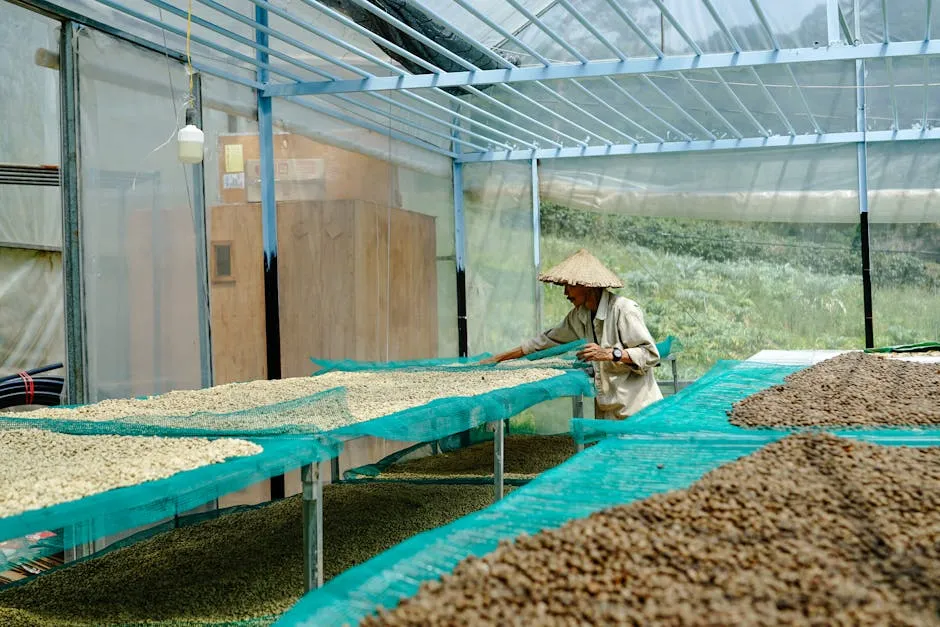 Peru Coffee Guide: Chanchamayo, Organic Excellence, and Specialty at Everyday Prices