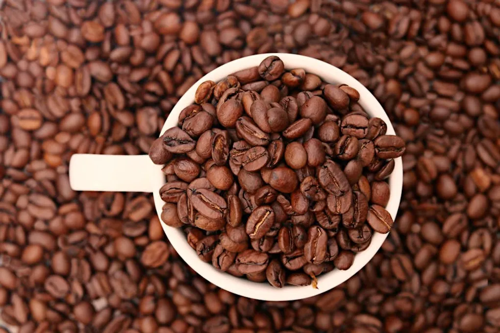 Single-Dose Coffee Freezing: The Complete Guide to Freezing Beans Like a Pro