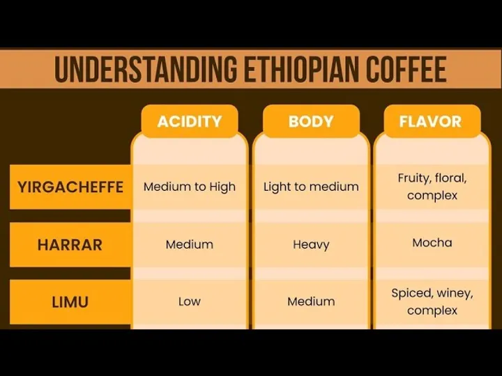 Ethiopian Coffee: A Guide to Flavors, Varieties, and Growing Regions