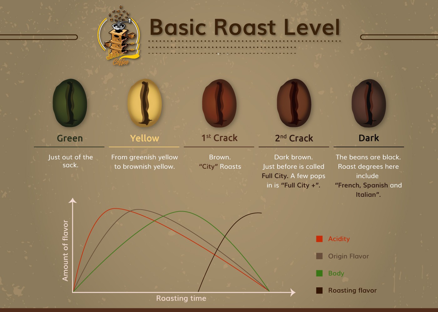 Basic roast level infographic showing five stages of coffee roasting — Green, Yellow, First Crack, Second Crack, and Dark — with flavor component curves for acidity, origin flavor, body, and roasting flavor