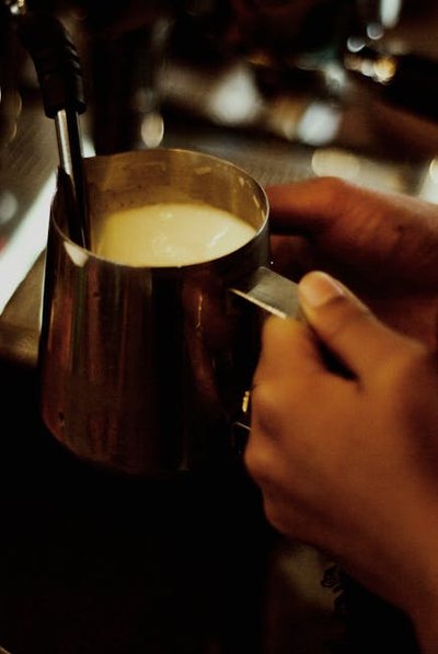Breville Milk Cafe BMF600XL milk frother