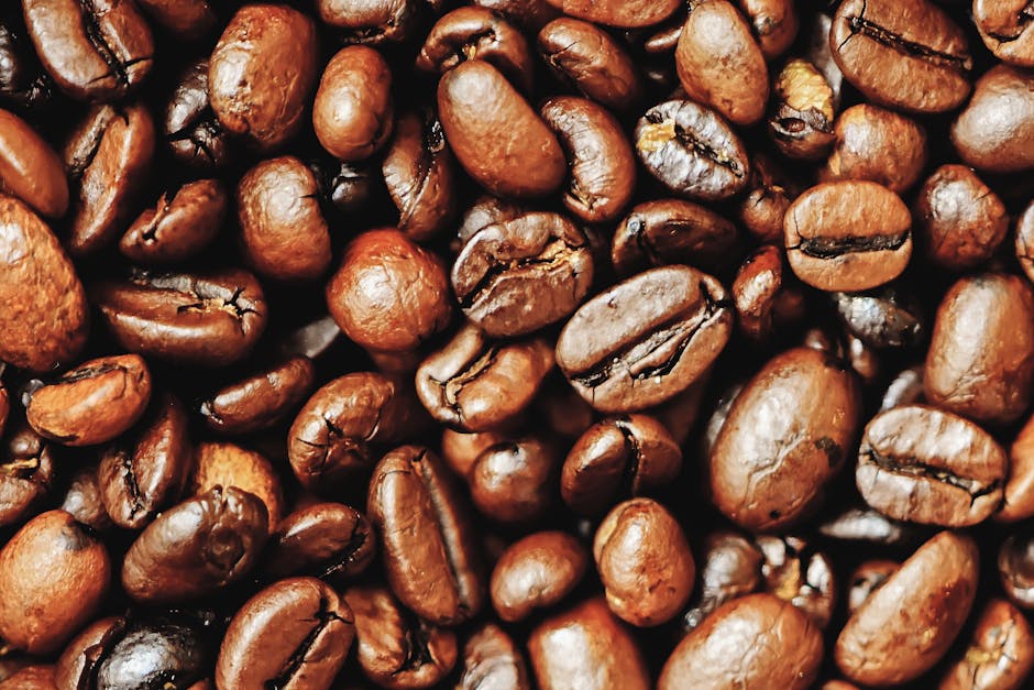 Detailed view of rich, roasted coffee beans showcasing their texture